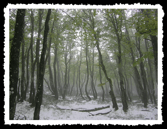 Htraie des somets sous la neige du printemps