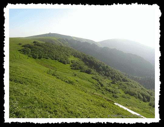 Le Printemps du Kastelberg