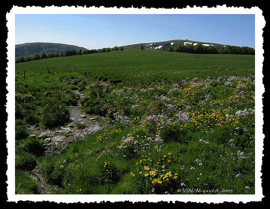 Ambiance en fond de Hohneck