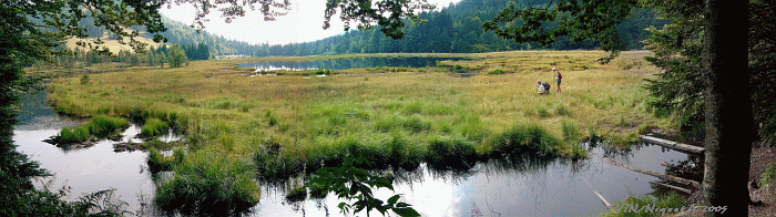 Le radeau flottant de Lispach