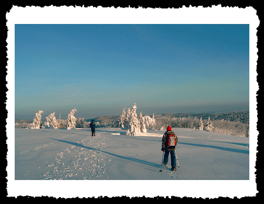 Les chaumes en hiver