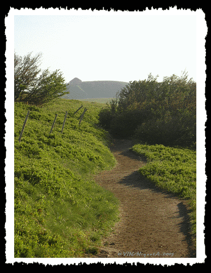 Le sentier des Nvs