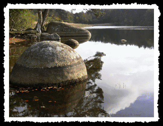 Le Lac du Merle-Tarn