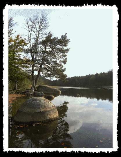 Les rives du Lac du Merle