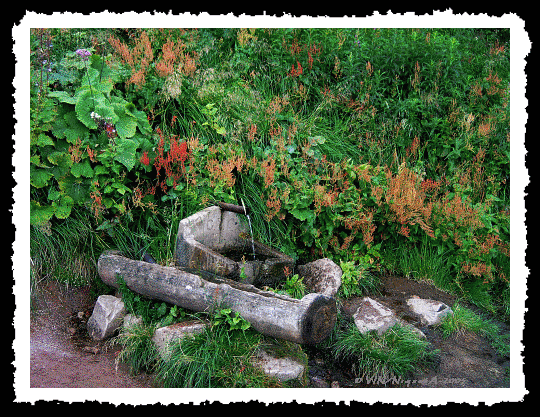 Source du Lac Blanc