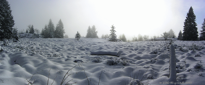 Tourbire sous la neige