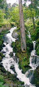 Cascade du Stoss Ablass