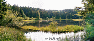 Etang du Pr Thia-Vosges