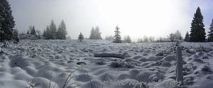 Tourbire en Hiver Col de Grosse Pierre-Vosges